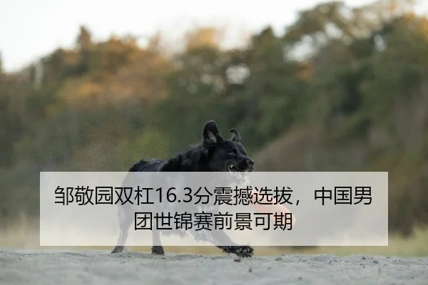 zou-jing-yuan-shuang-gang-fen-zhen-han-xuan-ba-zhong-guo-nan-tuan-shi-jin-sai-qian-jing-ke-qi-2-312.jpg